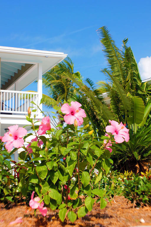 Exuma Beach Resort จอร์จทาวน์ ภายนอก รูปภาพ